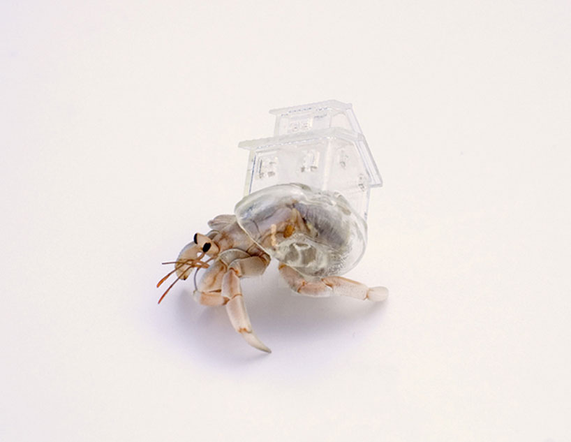 aki-inomata-hermit-crab-shells-designboom-05
