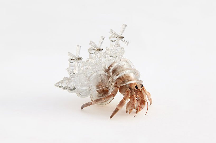 aki-inomata-hermit-crab-shells-designboom-10