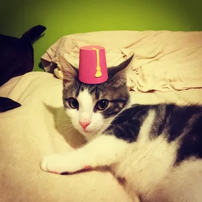 tiny-cat-hat-14