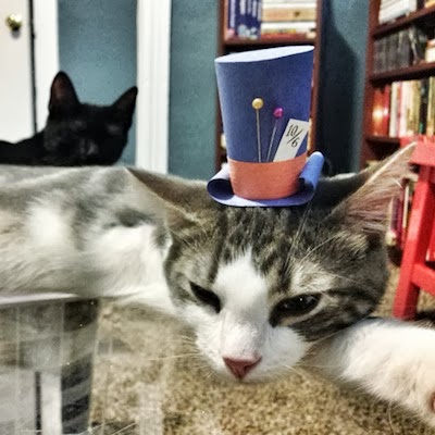 tiny-cat-hat-3