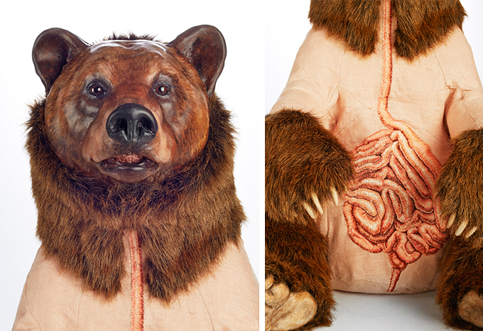 Deborah-Simon--s-Incredibly-anatomy-of-bears-5