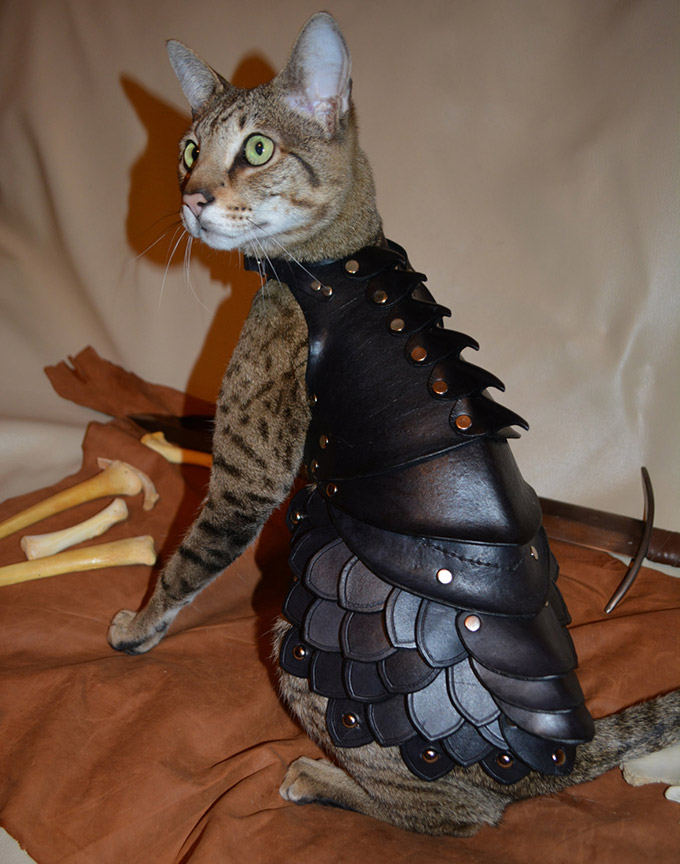 Cat-Battle-Armor