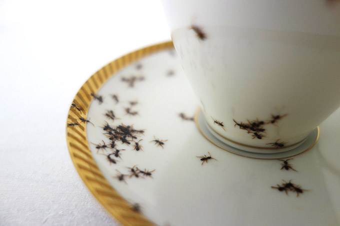 HandPainted-Ants-Crawling-on-Vintage-Porcelain-3