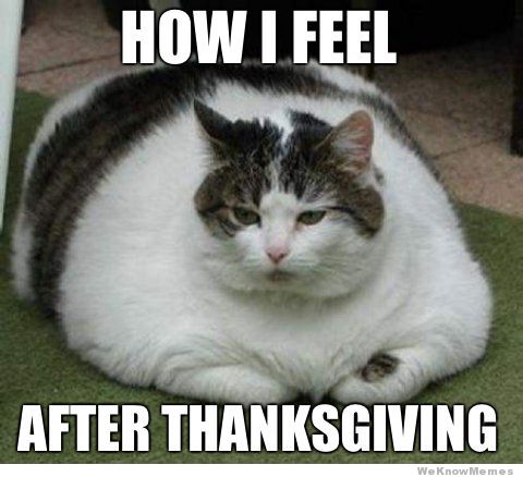 how-i-feel-after-thanksgiving-cat